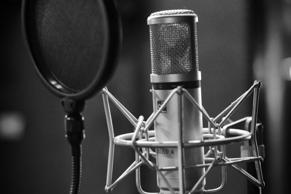 Professional Vocalist